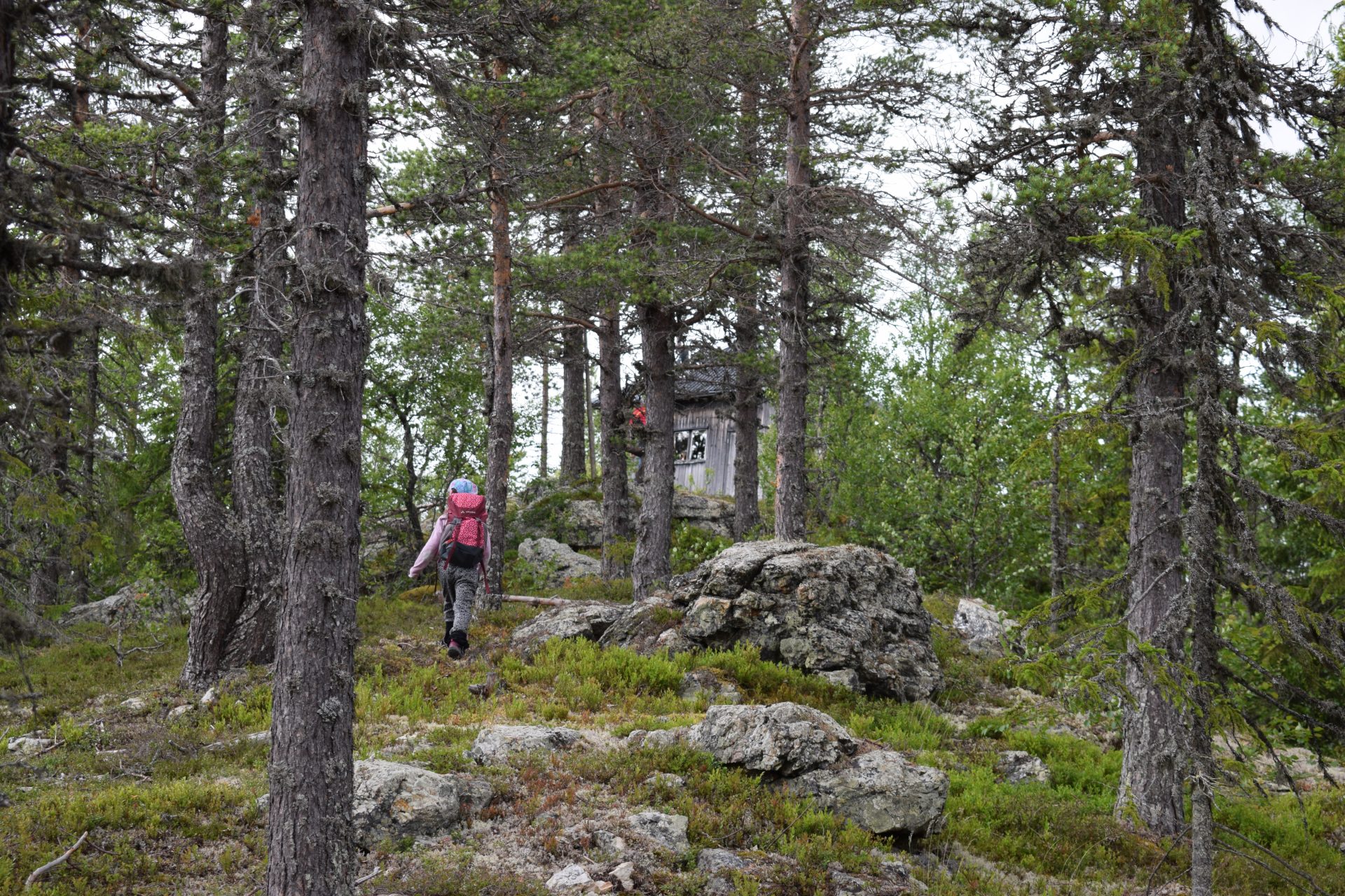 Midsommar nattvandring: Brandtornet