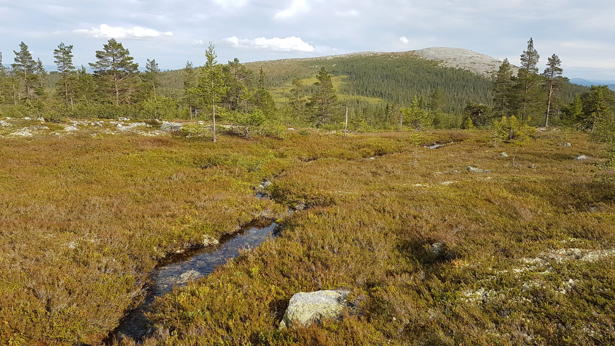 11-12 aug: 2-Dagars Hike i Linsells vildmark