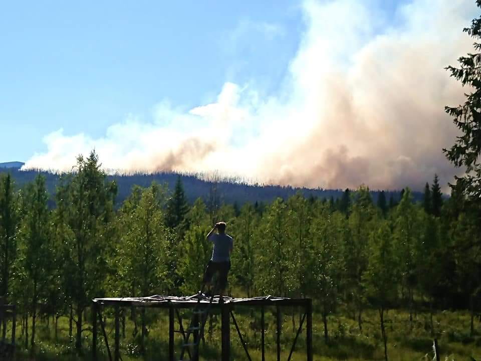 Skogsbränder i Härjedalen
